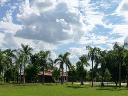 Terreno com Chácara Formada na Rodovia Castelo Branco